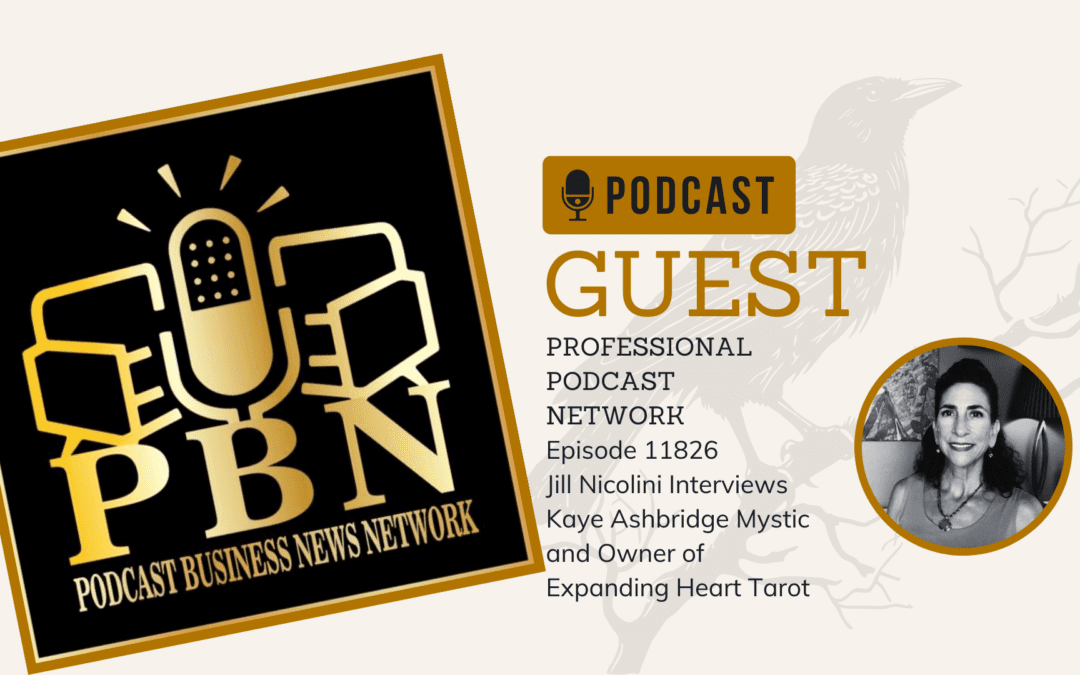 Podcast Professional Business News Network, Jill Nicolini, Interviews Kaye Ashbridge